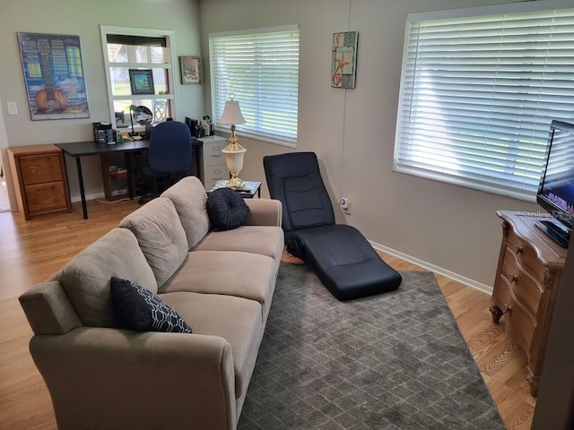 living room with light hardwood / wood-style floors