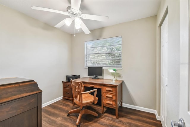 office featuring ceiling fan and dark hardwood / wood-style flooring