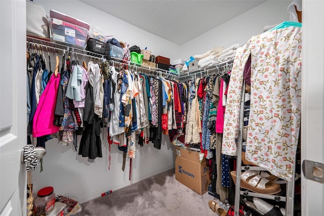 walk in closet with carpet flooring