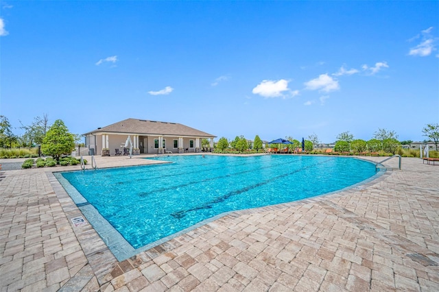 view of pool with a patio area