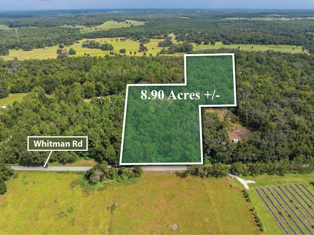 Whitman Rd, Brooksville FL, 34601 land for sale