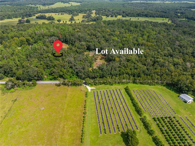 Listing photo 2 for Whitman Rd, Brooksville FL 34601