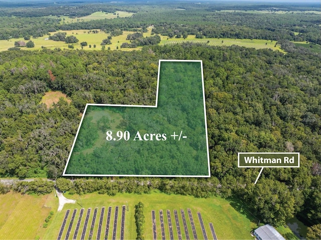 00 Whitman Rd, Brooksville FL, 34601 land for sale