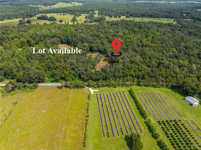 Listing photo 2 for 00 Whitman Rd, Brooksville FL 34601