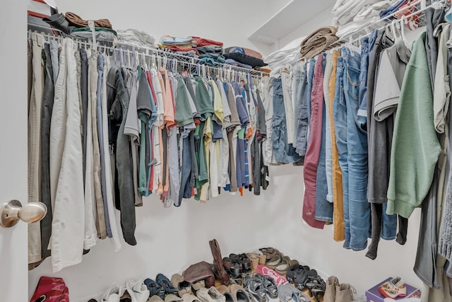 view of spacious closet