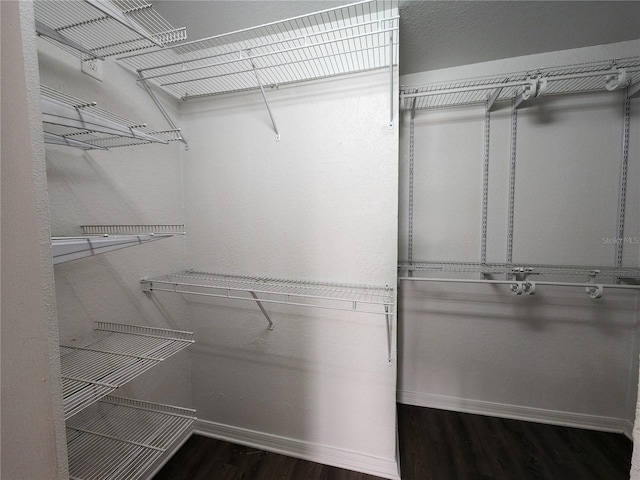 walk in closet featuring dark hardwood / wood-style flooring