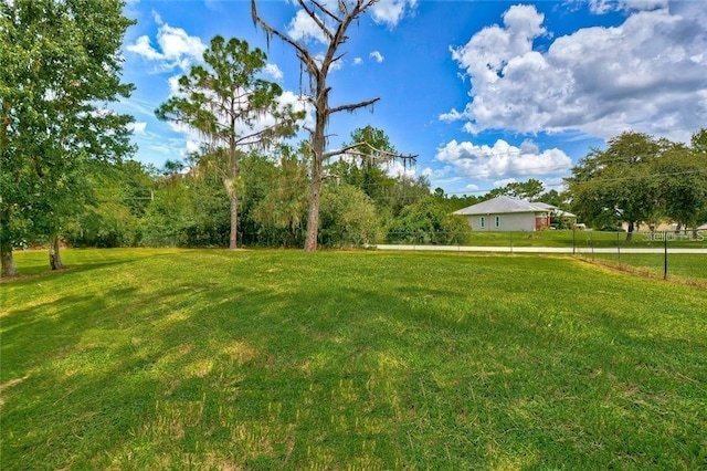 view of yard