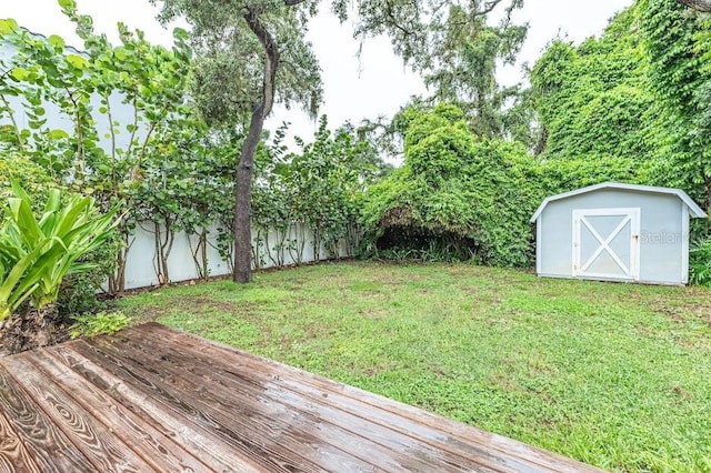 view of yard with a storage unit