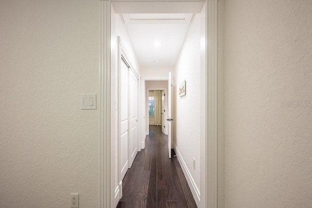 corridor with dark hardwood / wood-style floors