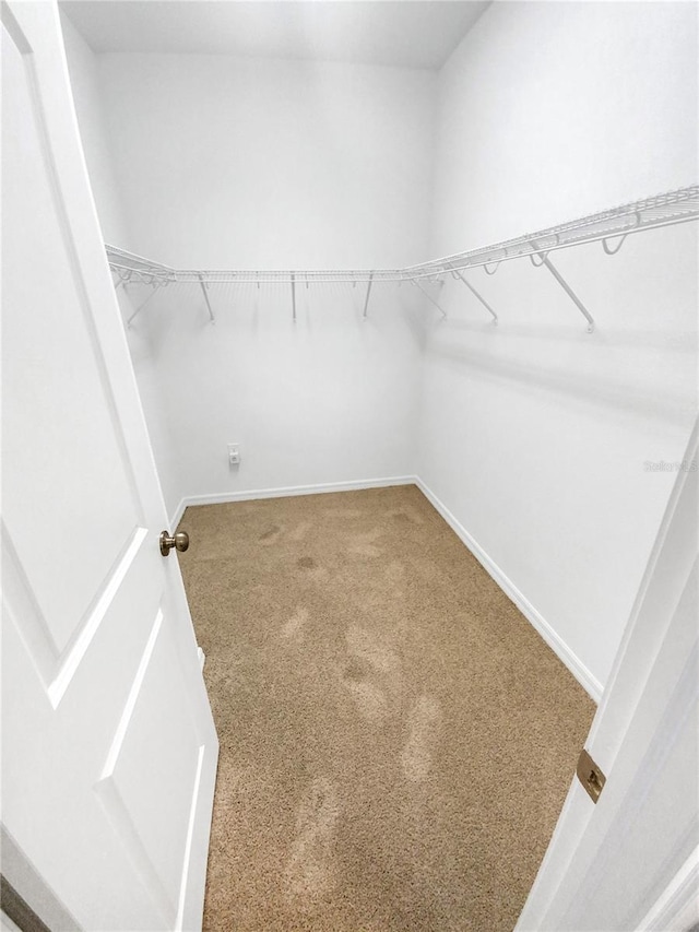 13292 Sea Bridge Dr, Hudson, FL 34669 - spacious closet with carpet