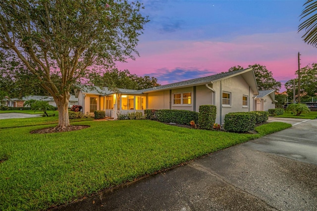 ranch-style home featuring stucco siding, driveway, and a front lawn