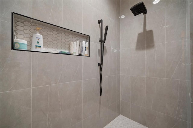 825 Islebay Dr, Apollo Beach, FL 33572 - full bath with tiled shower