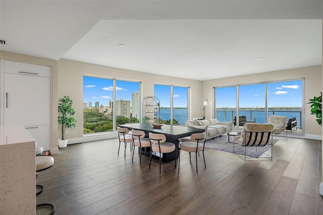 dining space featuring a wealth of natural light, dark hardwood / wood-style flooring, and a water view