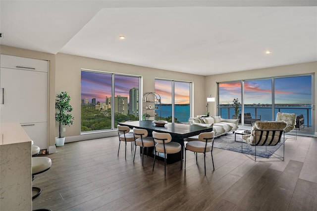 dining area featuring a water view and dark hardwood / wood-style floors