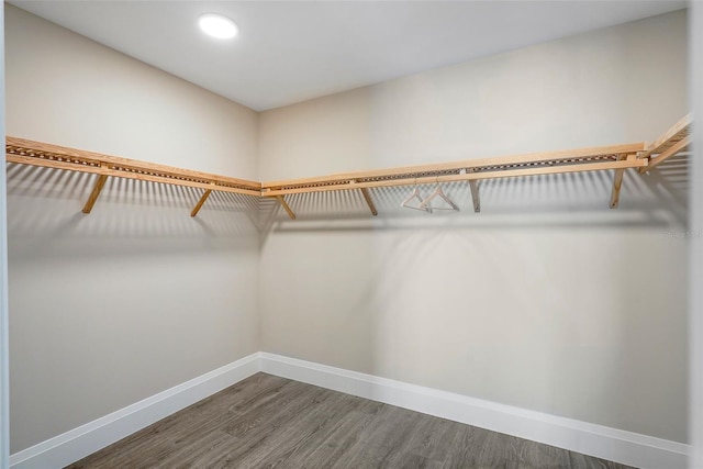 spacious closet with hardwood / wood-style flooring