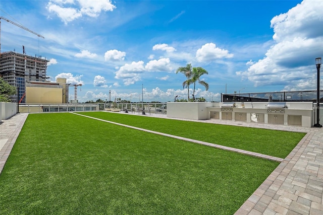 view of yard featuring an outdoor kitchen