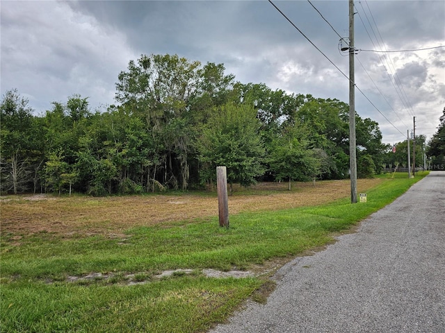 00 Carson Dr, Land O Lakes, FL 34639