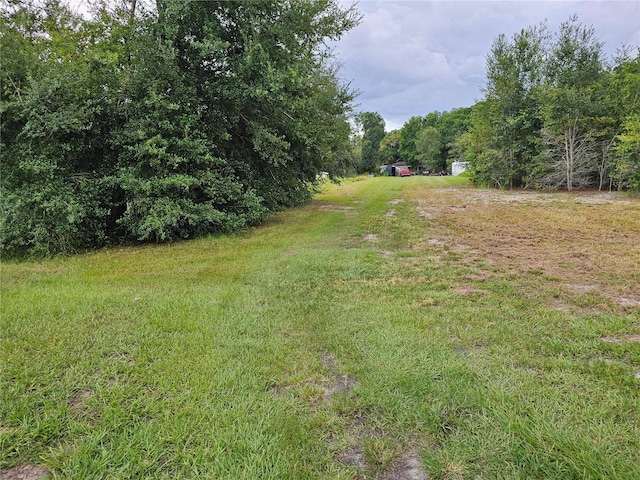 00 Carson Dr, Land O Lakes, FL 34639