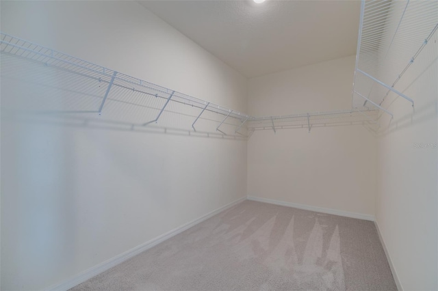 spacious closet with light colored carpet