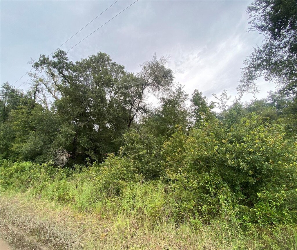 Owens Dr, Zephyrhills, FL 33540 - photo 3