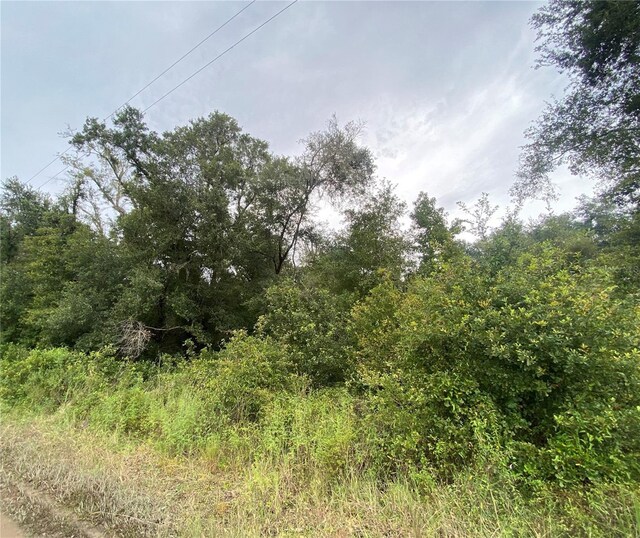 Owens Dr, Zephyrhills, FL 33540 - photo 3