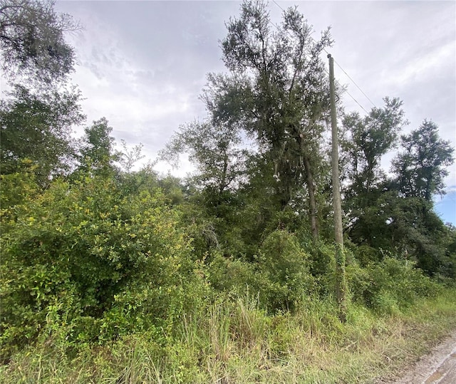 Listing photo 2 for Owens Dr, Zephyrhills FL 33540