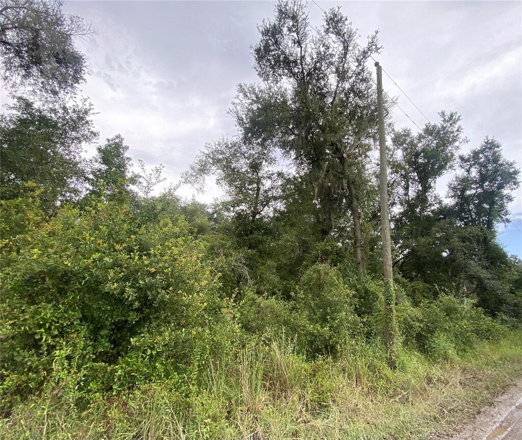 Owens Dr, Zephyrhills, FL 33540 - photo 2