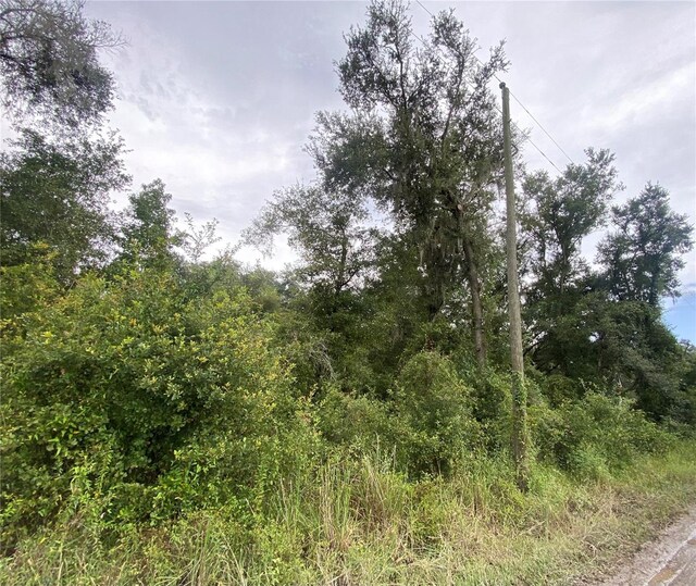 Owens Dr, Zephyrhills, FL 33540 - photo 2