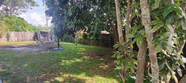 view of yard with a patio area