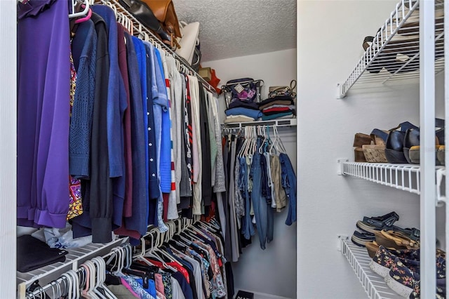 view of spacious closet