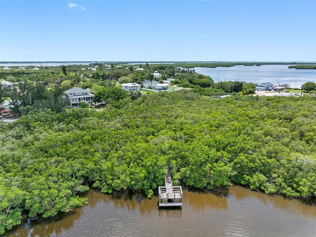 1215 Bayshore Dr, Terra Ceia, FL 34250 - bird's eye view of a large body of water and a forest
