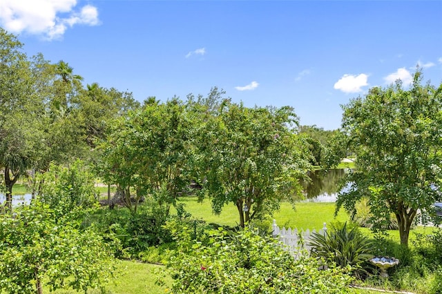 view of landscape featuring a water view