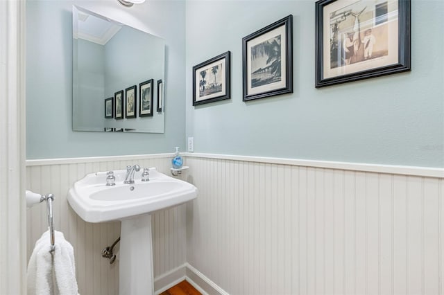 bathroom with wainscoting and a sink