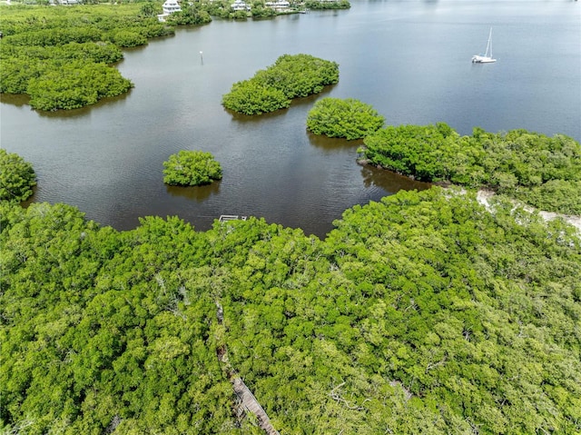 drone / aerial view with a water view and a view of trees