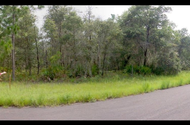 2156 W Deerfield Ln, Dunnellon, FL 34434 - photo 1