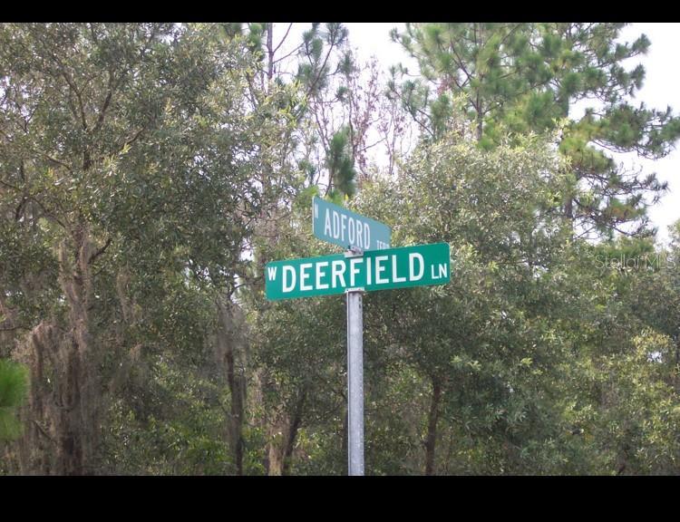 2156 W Deerfield Ln, Dunnellon, FL 34434 - photo 2
