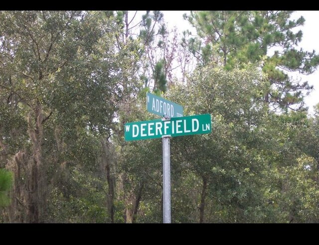 2156 W Deerfield Ln, Dunnellon, FL 34434 - photo 2