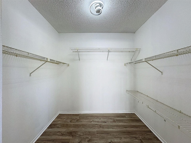 spacious closet with dark wood-style floors