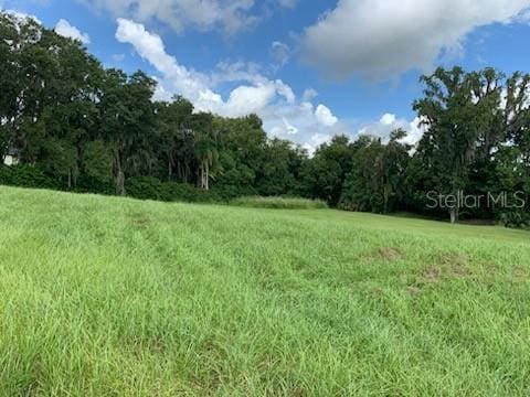 13620 Carnoustie Cir, Dade City, FL 33525 - photo 1