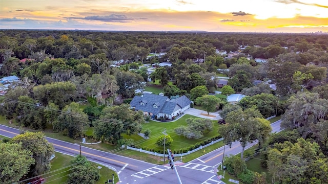 aerial view at dusk with a forest view