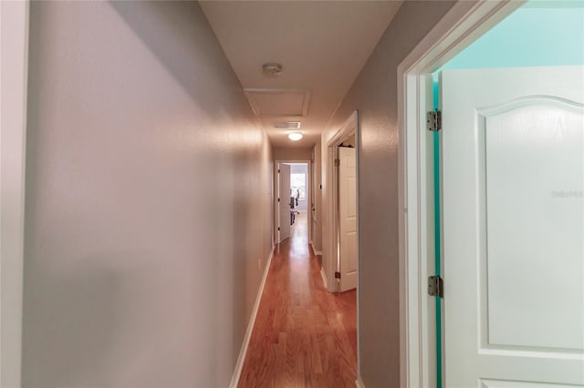 corridor with light hardwood / wood-style flooring