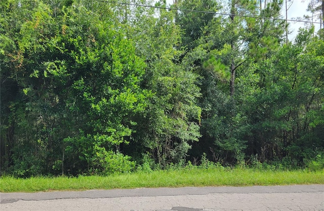 0021 Centennial Rd, Dade City FL, 33525 land for sale