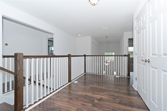 corridor with an inviting chandelier and dark hardwood / wood-style floors