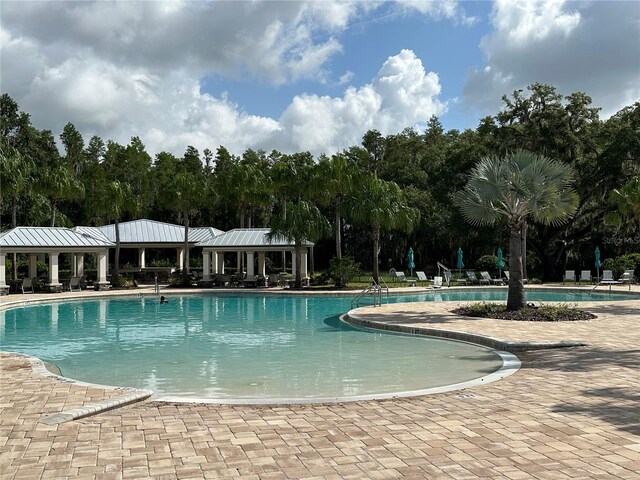 view of swimming pool featuring a patio