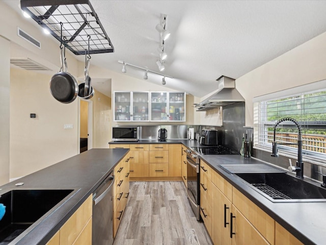 kitchen featuring sink, ventilation hood, appliances with stainless steel finishes, light brown cabinetry, and light hardwood / wood-style floors