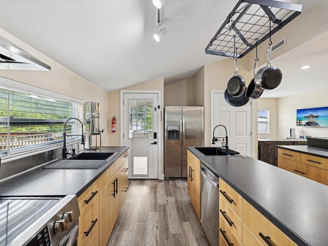 kitchen with appliances with stainless steel finishes, plenty of natural light, hardwood / wood-style floors, and sink