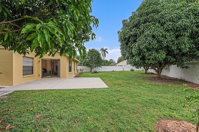 view of yard featuring a patio area and a fenced backyard