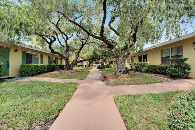 view of community with a lawn