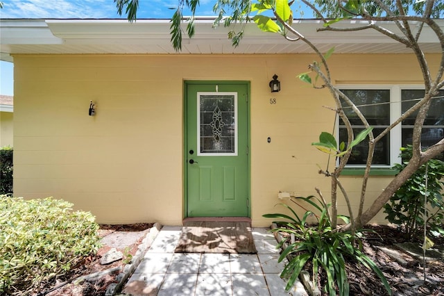 401 Dorchester Pl Unit 58, Sun City Center, FL 33573 - photo 4