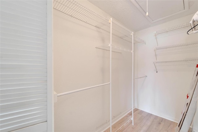 spacious closet with light hardwood / wood-style floors